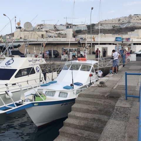 White Striker i havnen