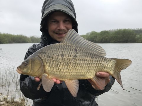 karpe hybrid fiskefoto.dk