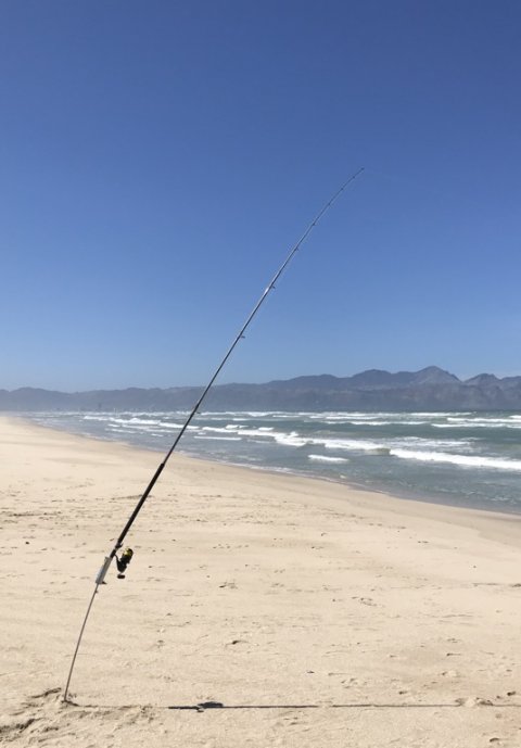 False Bay fishing