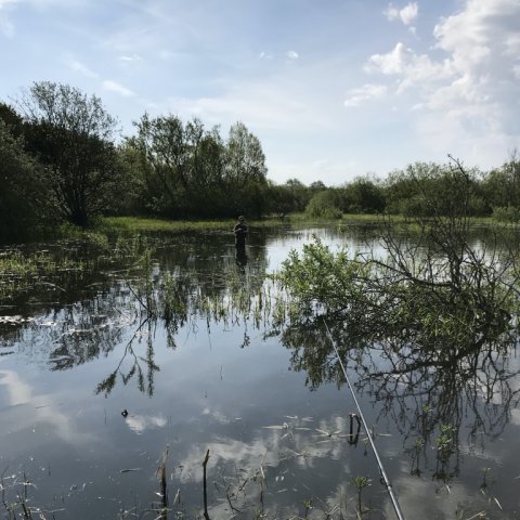 karpe fiskeri fiskefoto.dk medefiskeri