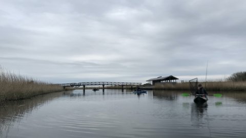 vonå badass baiters geddefiskeri kajak flydering