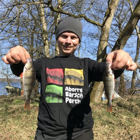 størrelse er ikke alt fiskefoto.dk aborre