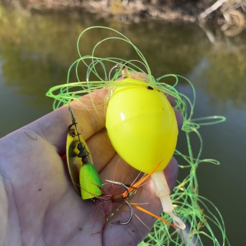 Dagens høst fra øen i søen - flåd og spinner