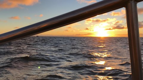 Solopgang langelandsbæltet Felix rødspætte skrubbe fiskeri