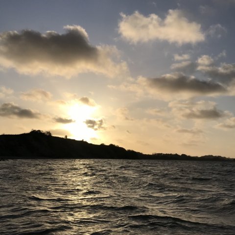 sidste kast ved Limfjorden for denne gang