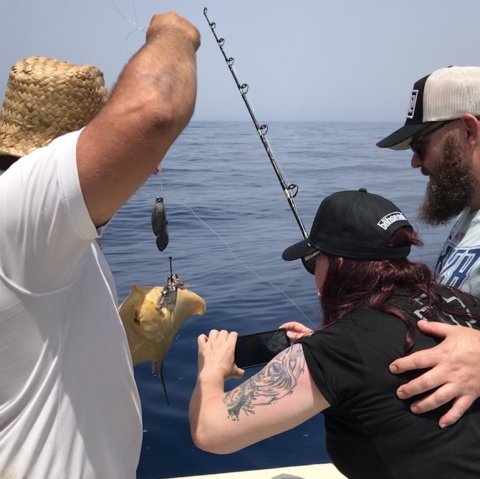 Fotosession med tyskfanget eagleray