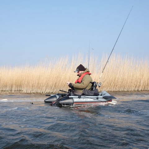 flydering ringkøbing fjord