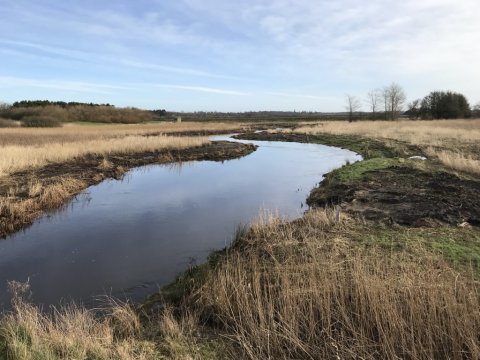 hover å Vestjylland ørred fiskeri ringkøbing troet forelle