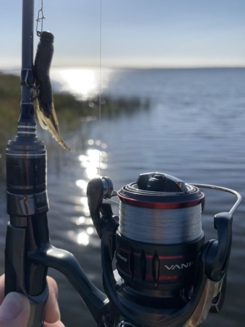UL-grej til jagten på aborren - Shimano Vanford og Sportex Black Aroom G3 ULR