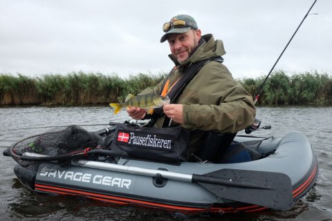 Webredaktør Pausefiskeren.dk med aborre fra Vestjylland flyderingsfiskeri