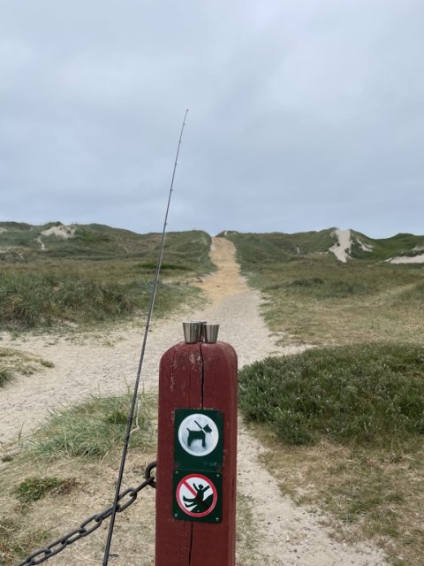 Stranden nord for Søndervig