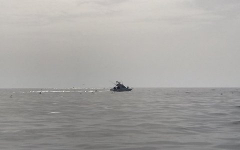 Kontakt til anden turbåd på Atlanterhavet