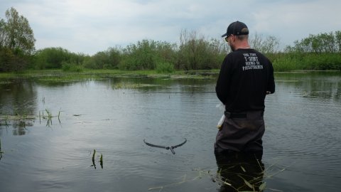 medefiskeri karpe pausefiskeren nulbon ingen fangstgaranti