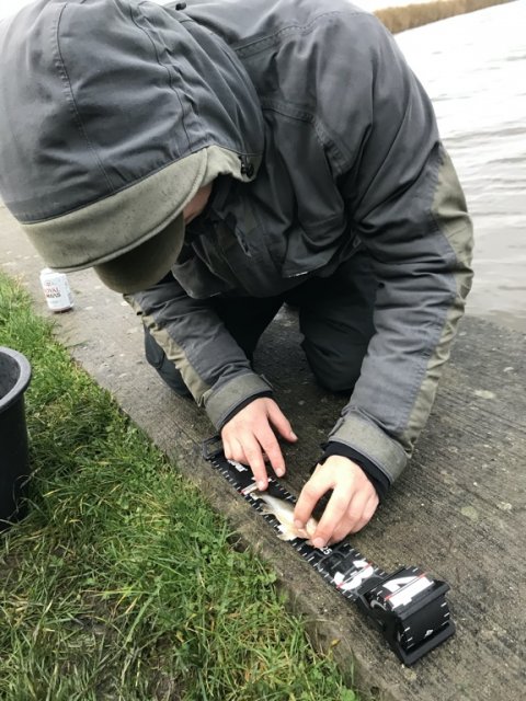 vonåen hork medefiskeri