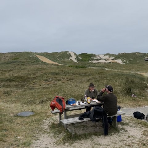 Frokost i den store sandkasse