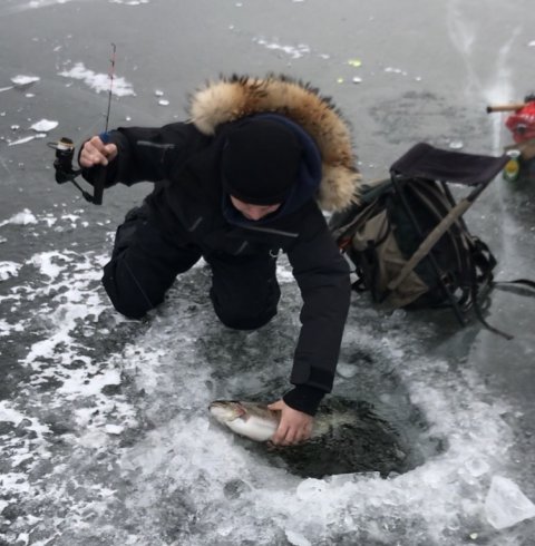 isfiskeri loch nees put and take regnbueørred
