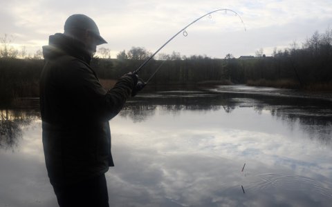 Geddefight - Esox kroget I mosen