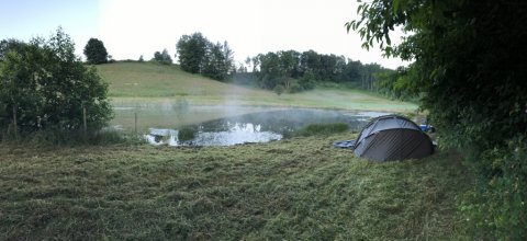 Morgenstemning ved karpesøen