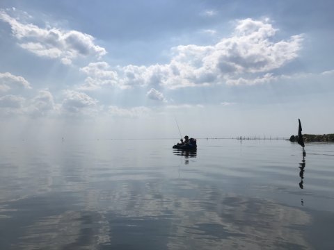 aborre fiskeri ringkøbing havn flydering