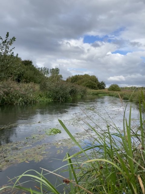 Hover Å syd for Holstebrovej