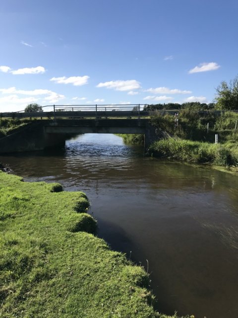 hover å ørred fiskeri Vestjylland trout ringkøbing