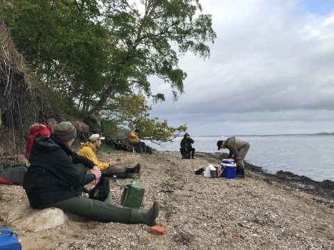 ringkøbing og omegns sportsfiskerforening mad limfjorden havørred