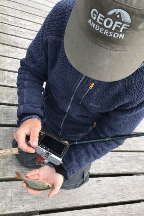 rudskalle fiskefoto.dk medefiskeri