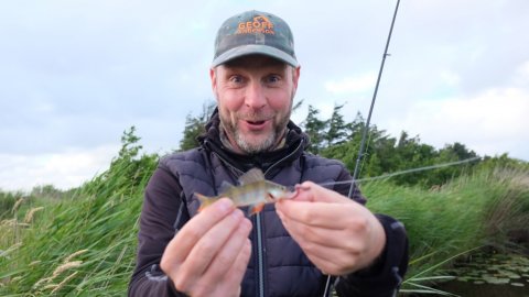 prop og orm - Pausefiskeren med aborre