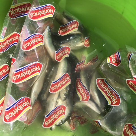 Agnfisk vacuumpakket