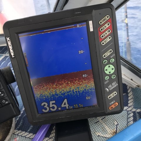 Deep Sea Fishing Gran Canaria