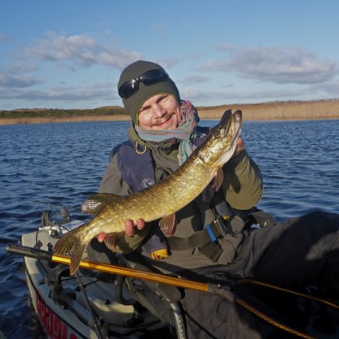 gedde pike hecht angeln vestjylland kajak fiskeri