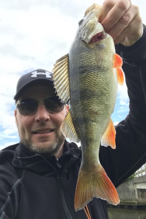 selfie aborre vonå gummidyr jig