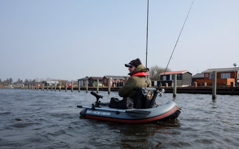 flydering stauning havn