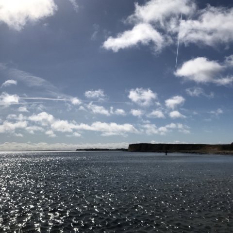 forår ved limfjorden