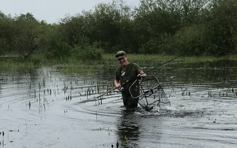 medefiskeri karpe hybrid majs fiskefoto.dk