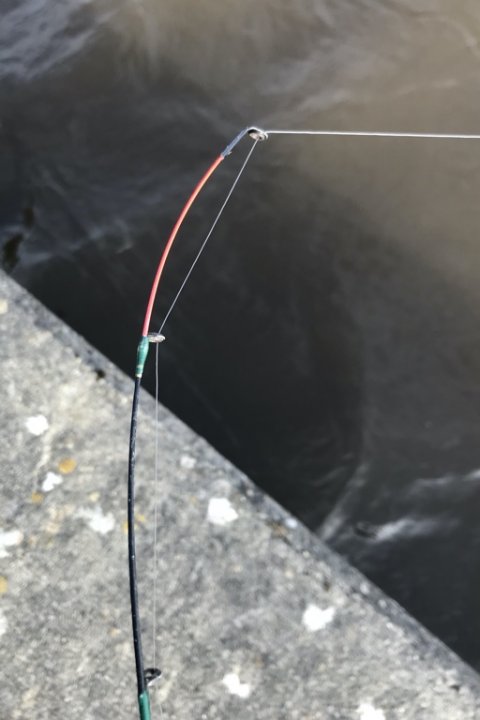 quivertip fiskeri medefiskeri vestjylland hork vonå