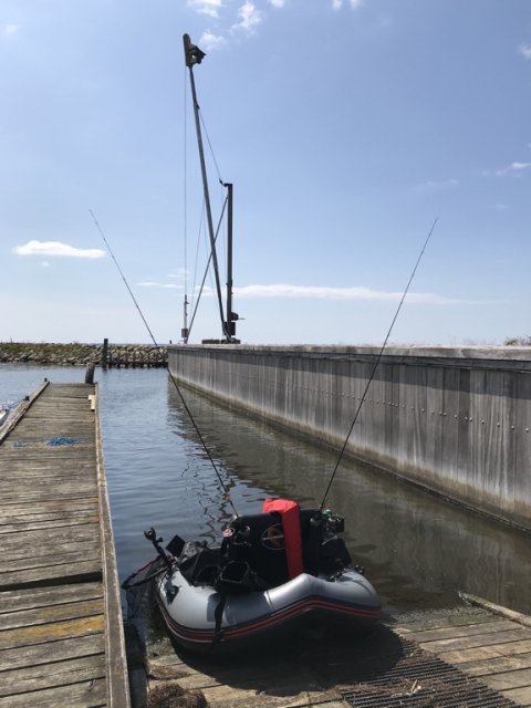 ringkøbing havn aborre fiskeri lystfiskeri vestjylland westin