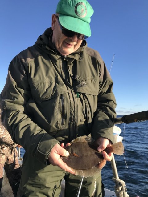 langelandsbæltet fiskeri rødspætte skrubbe Felix