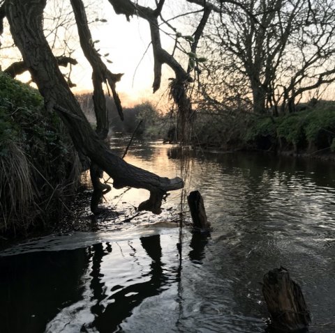 hover å fiskeri vestjylland bækørred