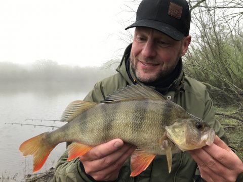 aborre medefiskeri agnfisk