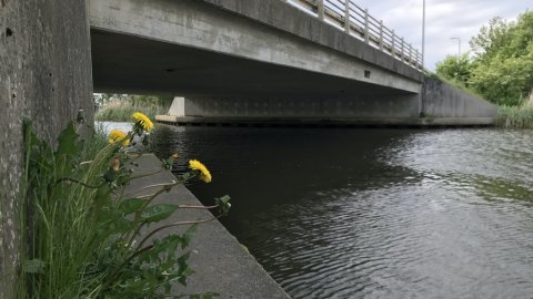 vonå ringkøbing aborre