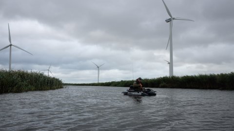Vonå mellem Ringkøbing og Stadill Fjord