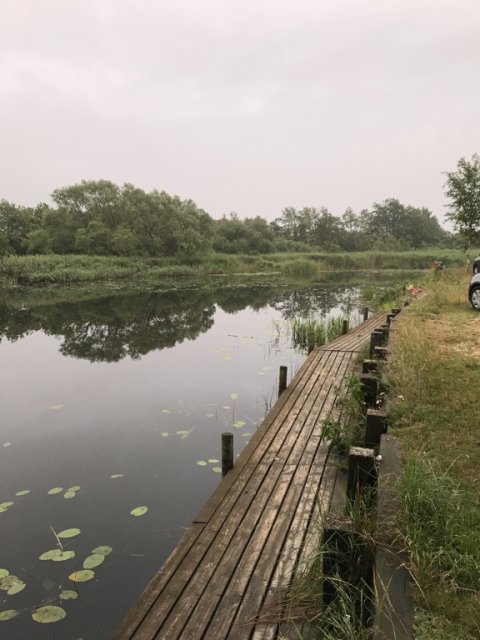 skjern bådehavn medefiskeri vestjylland lystfiskeri