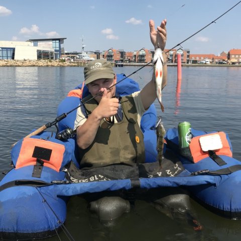 aborre fiskeri flydering ringkøbing havn