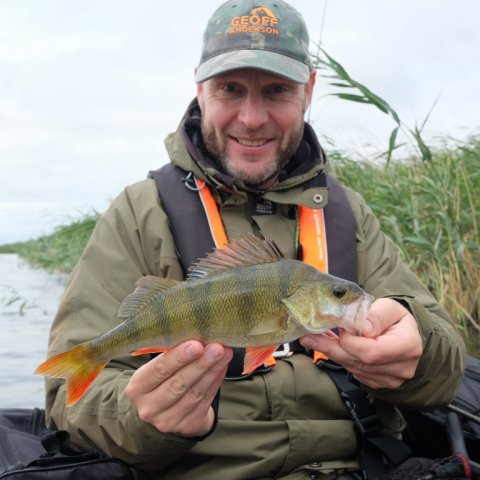 33 cm aborre dagens største fangst vonå