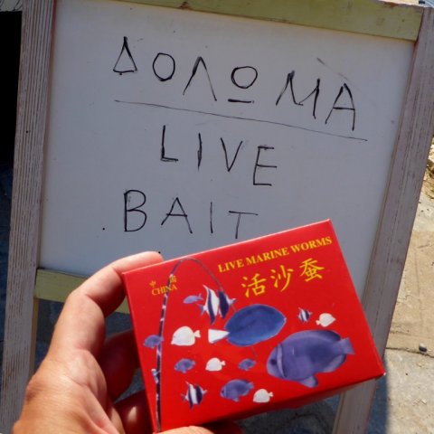 sivota harbour greece fishing live bait angeln