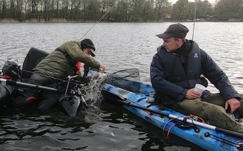 badassbaiters pigshad flydering gedde premiere