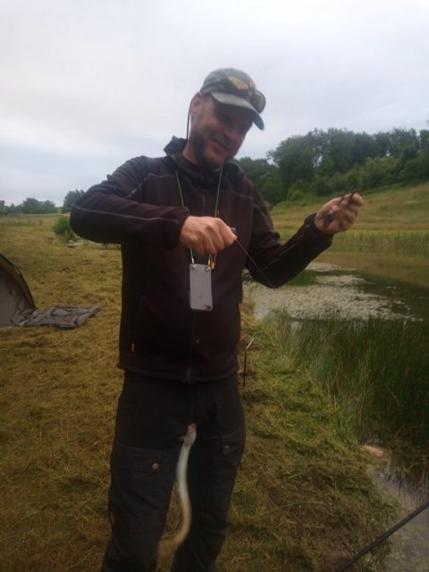 Pausefiskeren svinger med ålen