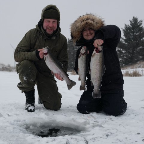 regnbueørred loch nees put and take regnbueørred fiskefoto.dk