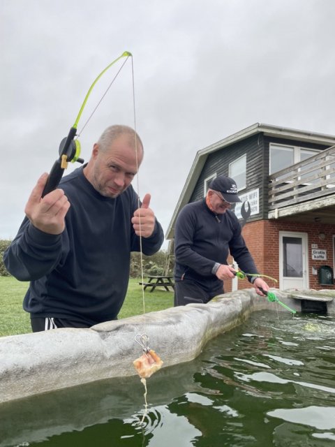 Tæller krabber med i fiskekonkurrencen?